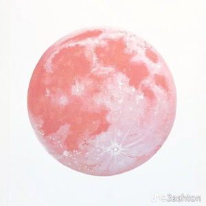 Meet your Posher, Raghav